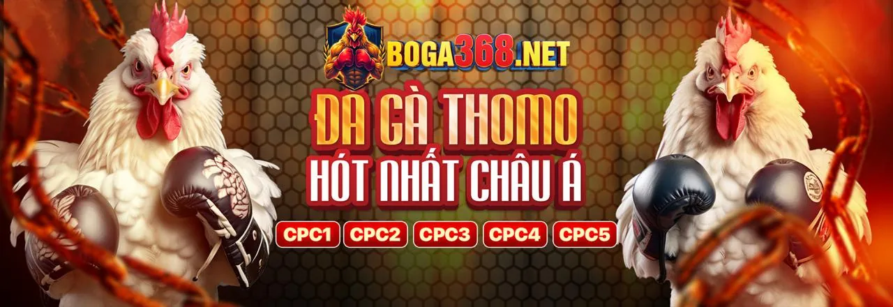 Đá gà 79 - Sân đấu trực tuyến